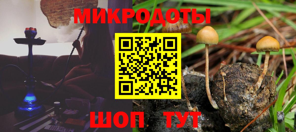 Галлюциногенные грибы Cubensis Южно-Сахалинск