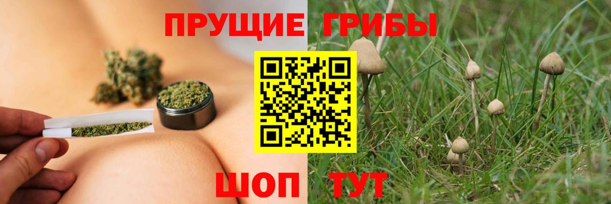Южно-Сахалинск  сколько стоит  Псилоцибиновые грибы прущие грибы  Вход с VPN  Галлюциногенные грибы MAGIC MUSHROOMS 